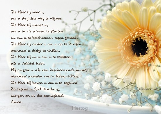 Ierse Zegen Gebed Ierse Ierse Zegen Briefkaarten | Zazzle NL