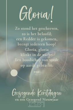 Alarmerend drempel Hysterisch Gezegende Kerstdagen en een Voorspoedig Nieuwjaar - minikaart Sela - 65509153 Alarmerend drempel Hysterisch Gezegende Kerstdagen en een Voorspoedig Nieuwjaar - minikaart Sela - 65509153