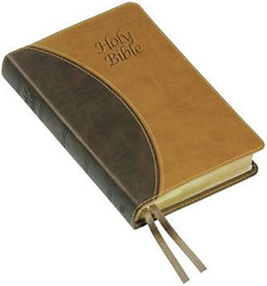 KJV Windsor Text Vivella Brown