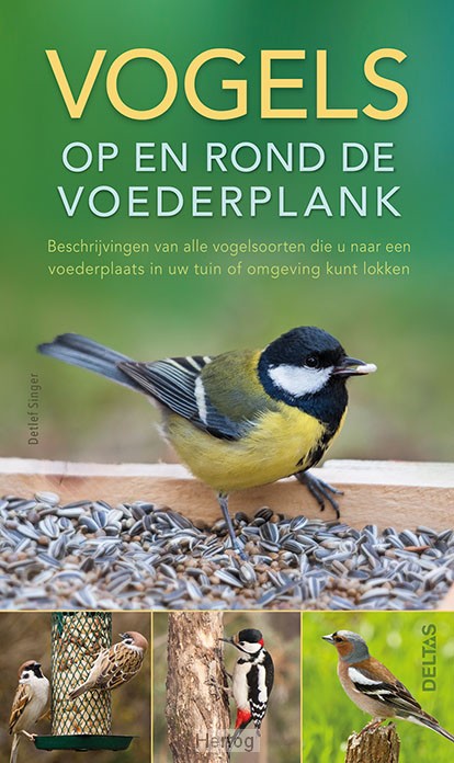 Vogels op en rond de voederplank