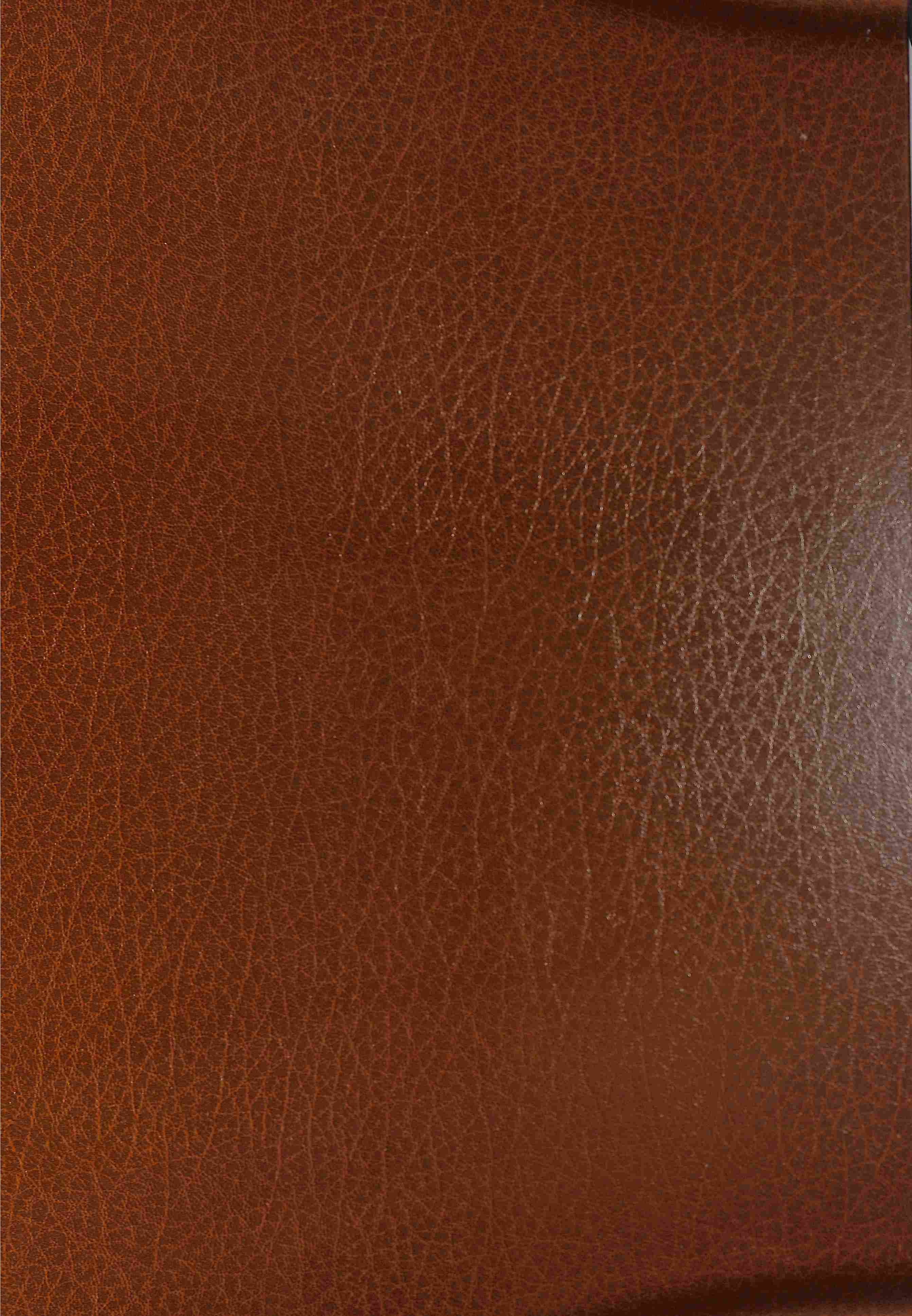De Keulse Bijbel - Die Kölner Bibel 1478/1479 - De Keulse Bijbel in het licht der historie - 2 delen