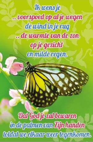 Ik wens je - minikaart