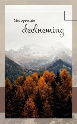 Met Oprechte Deelneming - kaarten