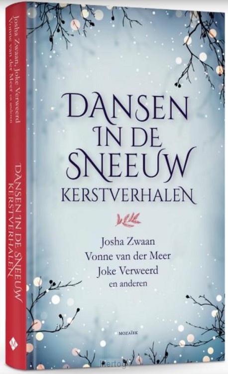 Dansen in de sneeuw