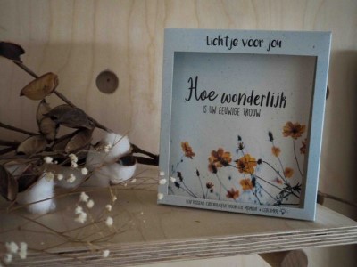 Hoe wonderlijk is Uw eeuwige trouw - Lichtje voor jou