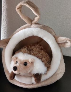 Egel - Vriendje voor jou