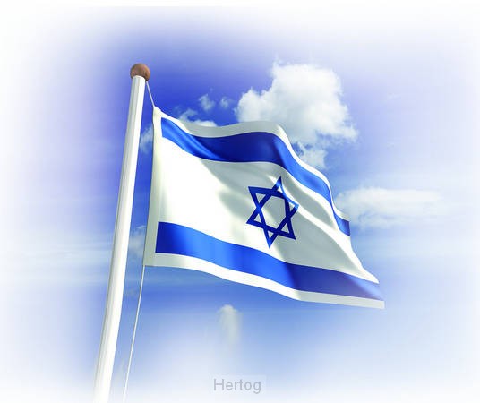Israëlische vlag - 70 x 100 cm.