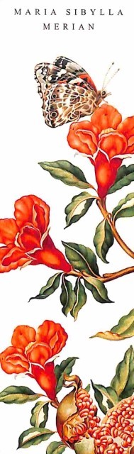 Rose, white & pink - boekenlegger