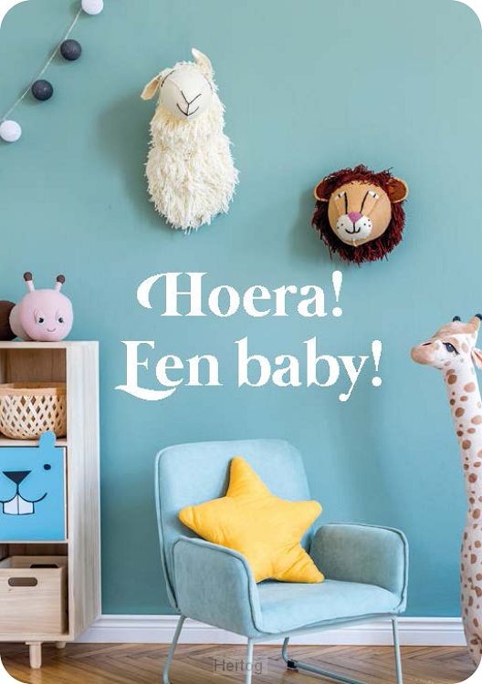 Hoera! Een baby! - minikaartje