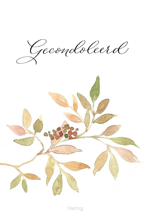 Gecondoleerd - wenskaart