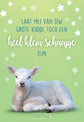 Laat mij van Uw grote kudde - minikaart