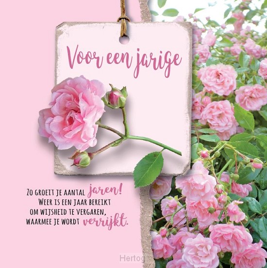 Biddend vertrouwen - wenskaart