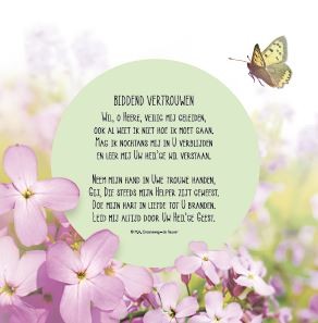 Biddend vertrouwen - wenskaart