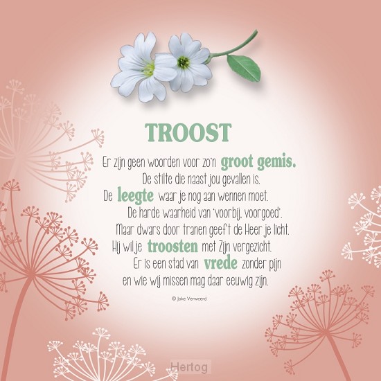 Troost - wenskaart met gedicht