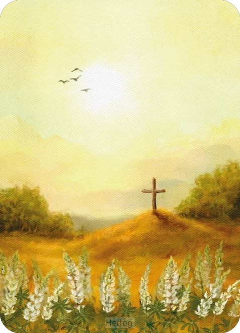 Blanco met kruis - kaart