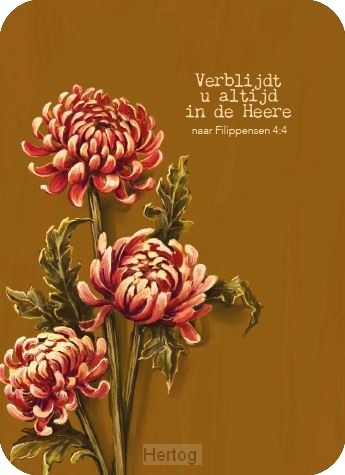 Verblijdt u altijd in de Heere - minikaart