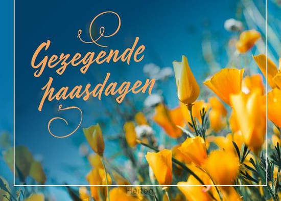 Gezegende Paasdagen - wenskaart