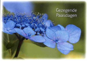 Gezegende Paasdagen - wenskaart