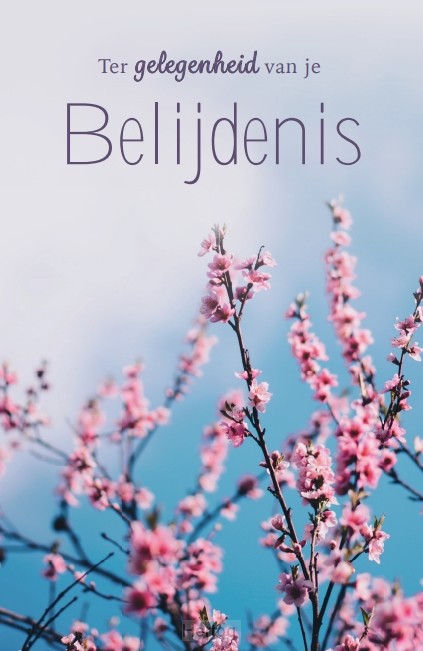 Ter gelegenheid van je Belijdenis - wenskaart