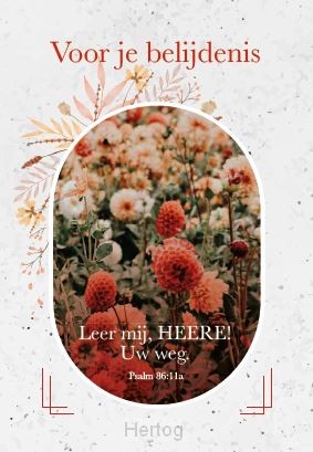 Voor je belijdenis - minikaart met tekst