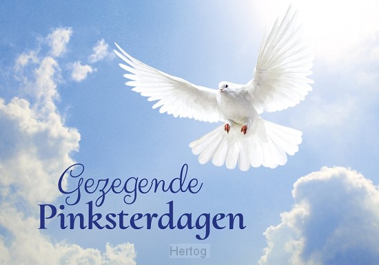 Gezegende Pinksterdagen - wenskaart