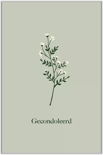 Gecondoleerd