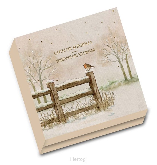 Doos Gezegende Kerstdagen en een Voorspoedig Nieuwjaar