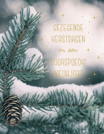 Doos Gezegende Kerstdagen en een Voorspoedig Nieuwjaar