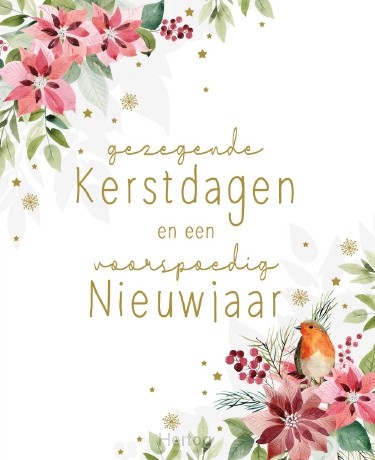 Doos Gezegende Kerstdagen en een Voorspoedig Nieuwjaar