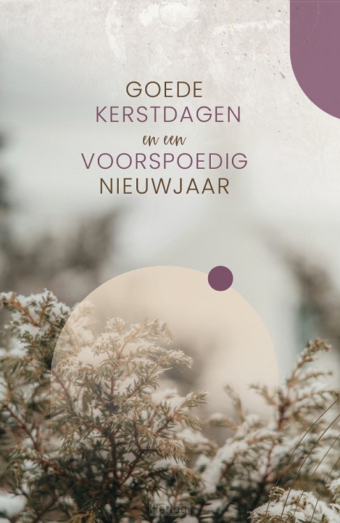 Goede Kerstdagen en een Voorspoedig Nieuwjaar