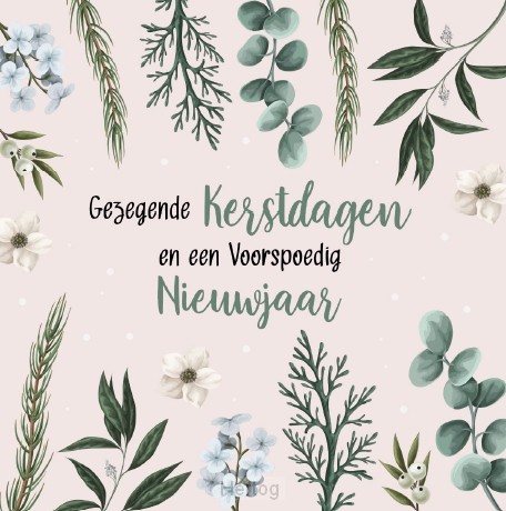 Doos Gezegende Kerstdagen en een Voorspoedig Nieuwjaar