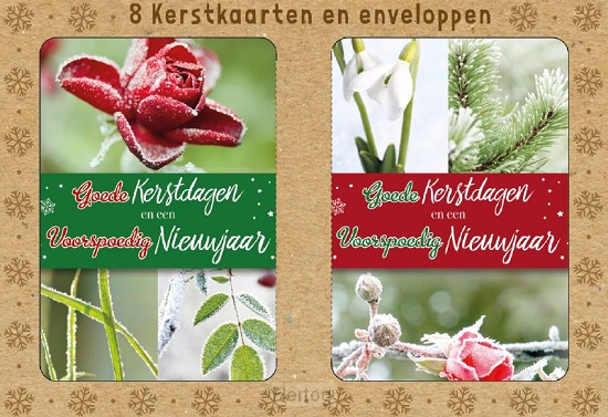 Doos Goede Kerstdagen en een Voorspoedig Nieuwjaar