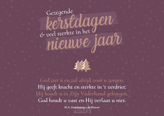Gezegende kerstdagen & veel sterkte in het nieuwe jaar - kaart
