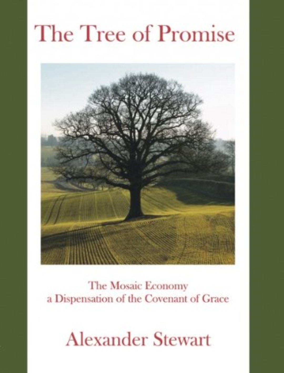 The Tree of Promise