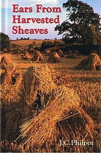Ears From Harvested Sheaves HB