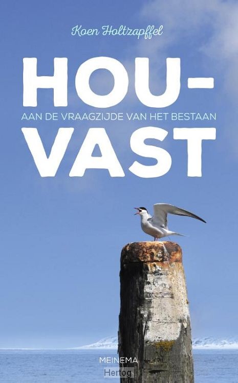 Houvast - aan de vraagzijde van het bestaan