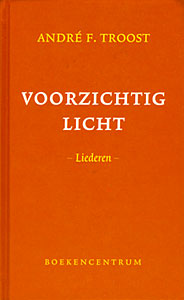 Voorzichtig Licht