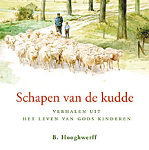 Schapen van de kudde