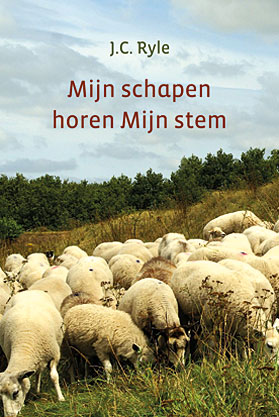 Mijn schapen horen Mijn stem