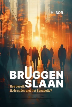 E-book Bruggen slaan