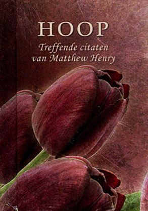 Pareltjes - Hoop