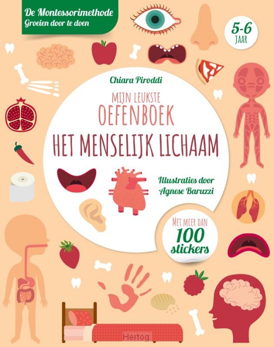 Het menselijk lichaam - Mijn leukste oefenboek