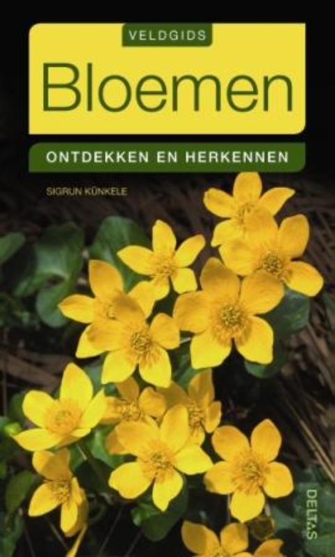 Bloemen ontdekken en herkennen