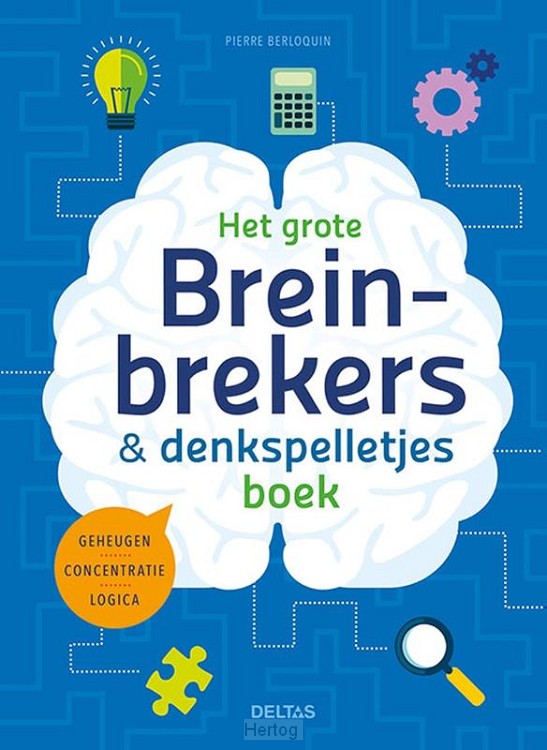 Het grote breinbrekers en denkspelletjesboek