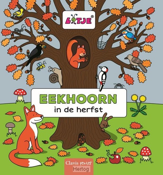 Eekhoorn in de herfst