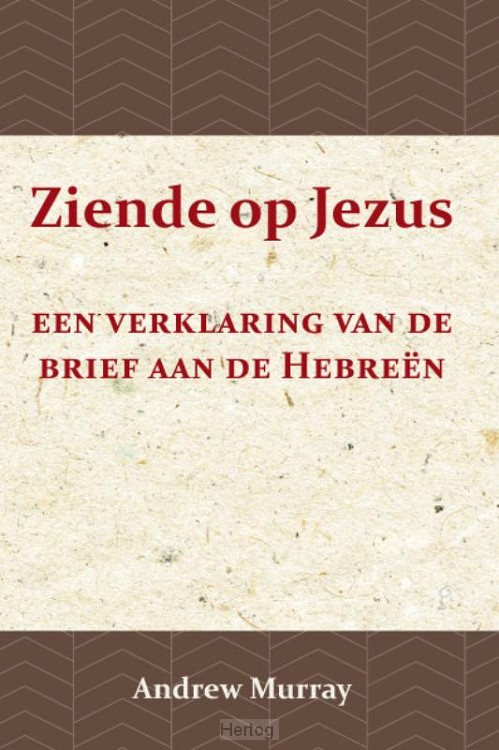 Ziende op Jezus