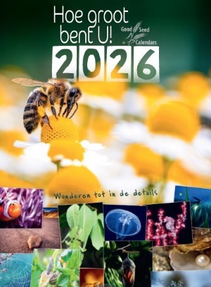 Hoe groot bent U! - posterkalender 2026
