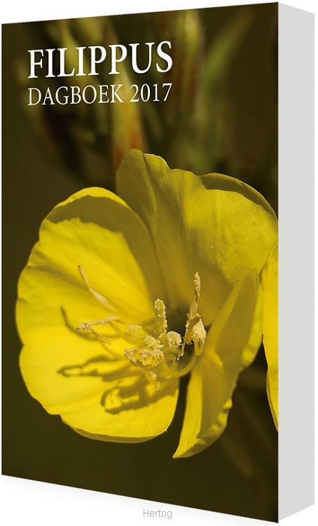 Filippus dagboek 2018 door J de Jong paperback