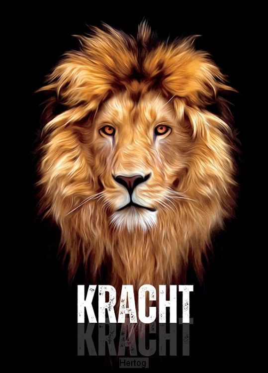 Johannes-evangelie - Kracht