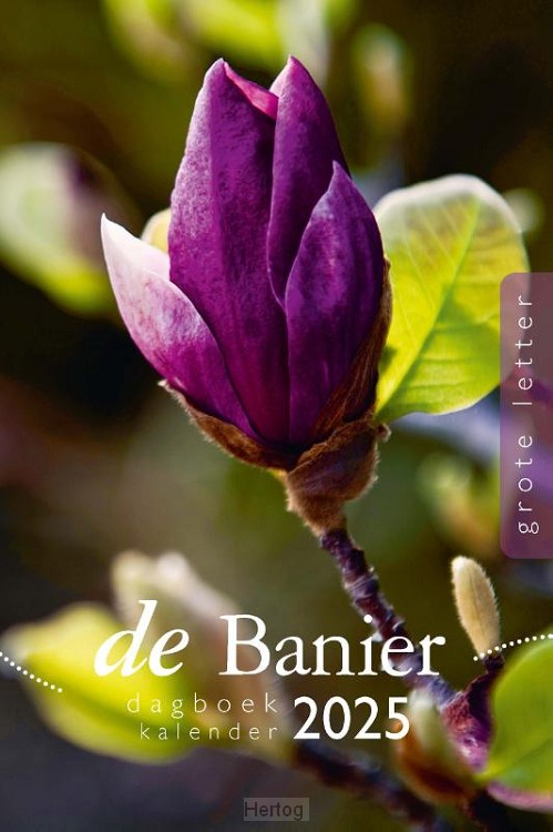  Foto zu Dagboekkalender 2025 - grote letter - 9789402909906 